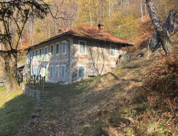 3. CASCINA ORO E CASA ALPINA ERMENEGILDO ZEGNA