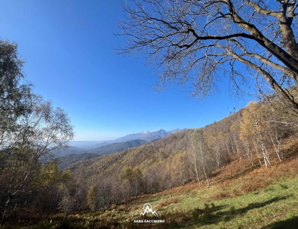 4. VEDUTA PANORAMICA DA CASCINA ORO