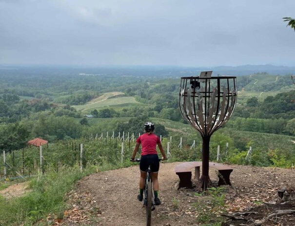 7 - CALICE IL CHIOSSO