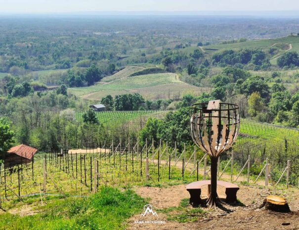 FOTO 1 - IL CALICE MOLSINO