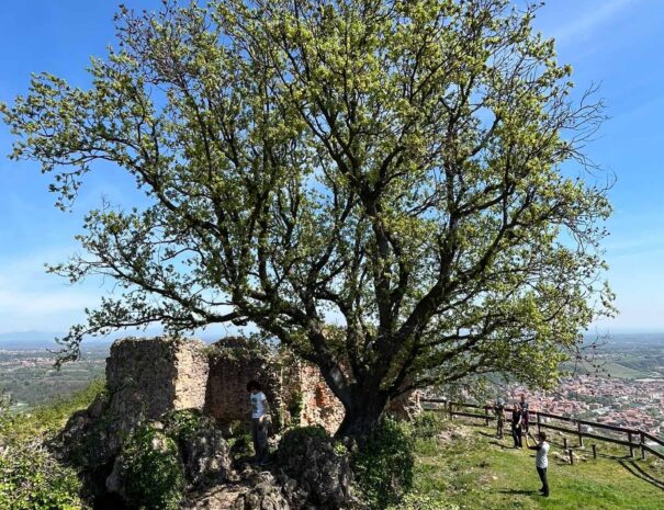 FOTO 4 - RESTI DEL CASTELLO