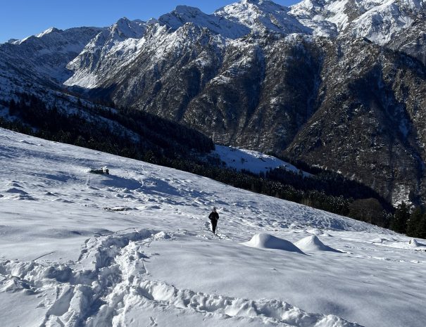 pizzo2
