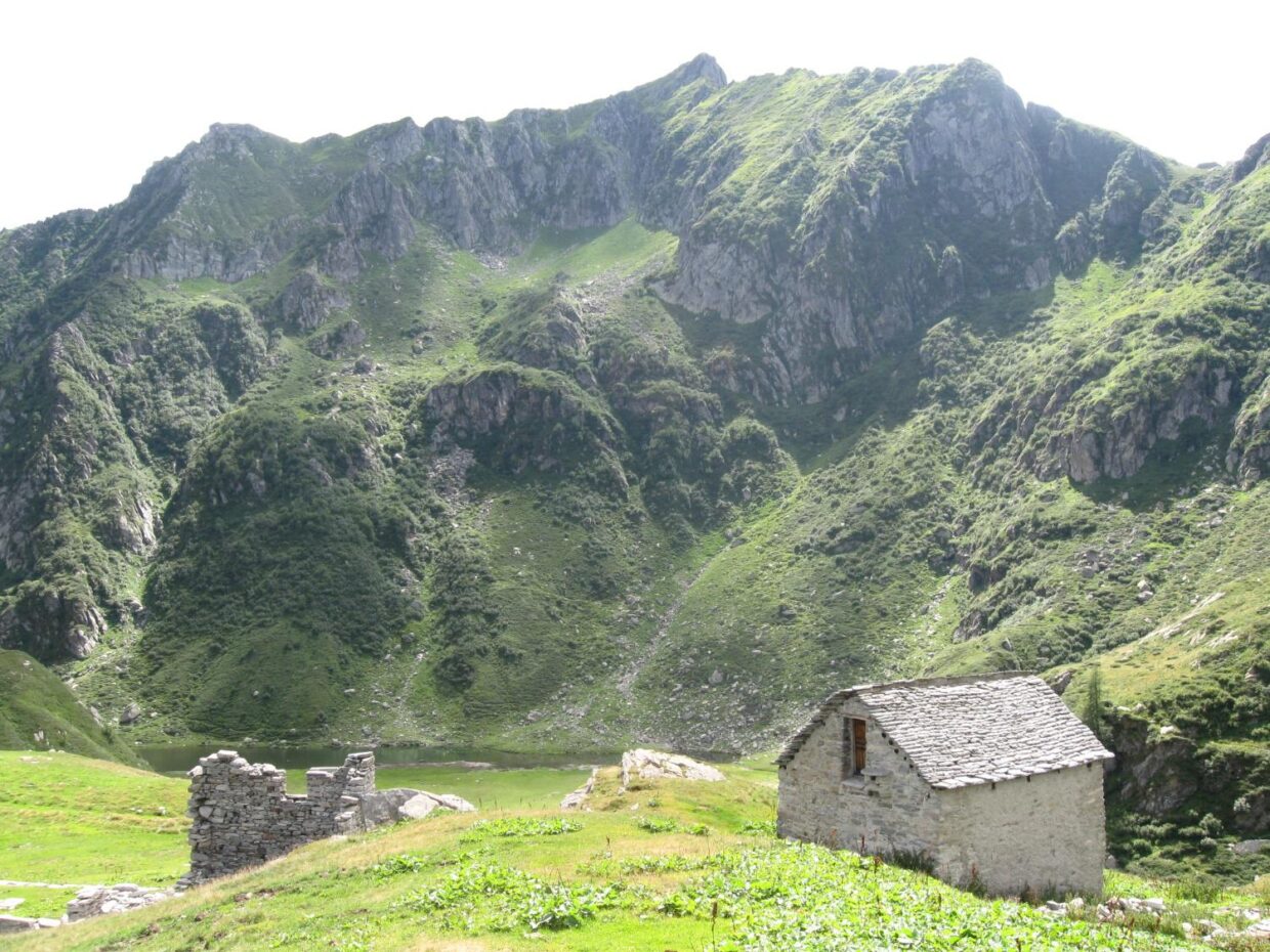 baranca1
