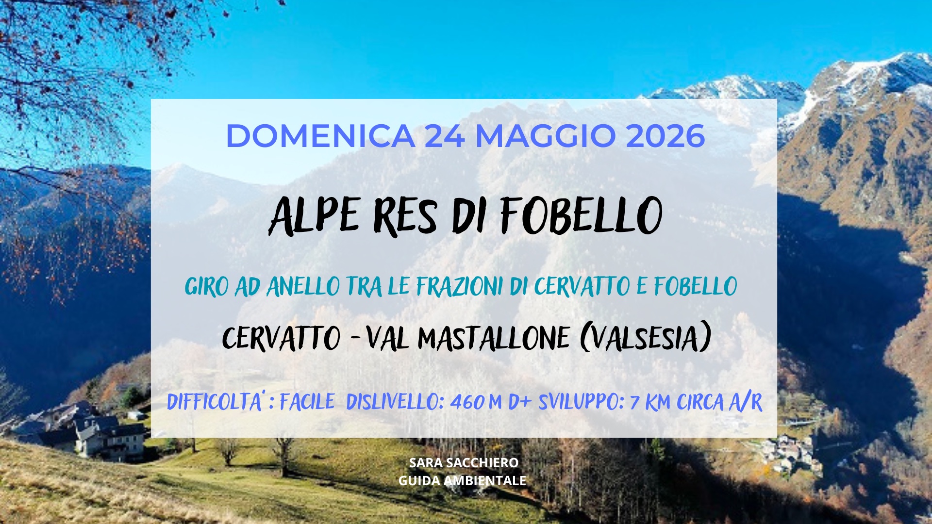 24 MAGGIO 2026: ALPE RES DI FOBELLO